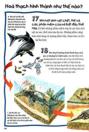 500 dữ kiện khoa học về thế giới tuyệt chủng - Ảnh 11