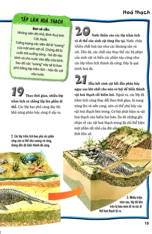 500 dữ kiện khoa học về thế giới tuyệt chủng - Ảnh 12