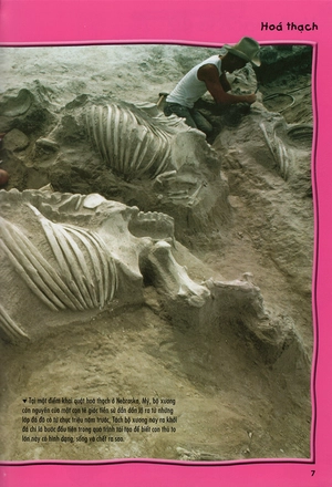 500 dữ kiện khoa học về thế giới tuyệt chủng - Ảnh 4