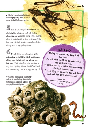 500 dữ kiện khoa học về thế giới tuyệt chủng - Ảnh 6