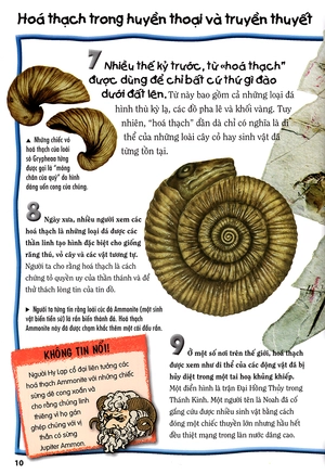 500 dữ kiện khoa học về thế giới tuyệt chủng - Ảnh 7