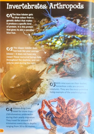 500 fantastic facts - animals - Ảnh 5