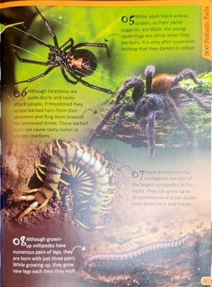 500 fantastic facts - animals - Ảnh 6