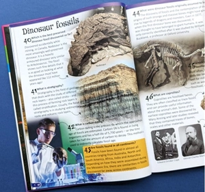 500 fantastic facts - dinosaurs - Ảnh 3