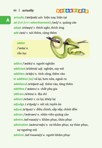 5500 Tu Vung Tieng Anh Thong Dung Nhat - Ban Mau (Tai Ban 2025) - Ảnh 6