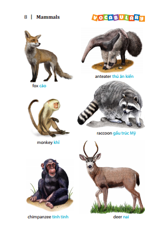 5500 từ vựng tiếng anh thông dụng nhất (bản màu) - tái bản - Ảnh 5