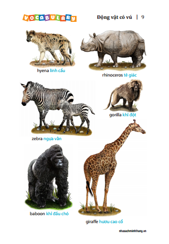 5500 từ vựng tiếng anh thông dụng nhất (bản màu) - tái bản - Ảnh 6