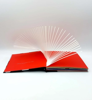 600 black spots - Ảnh 3