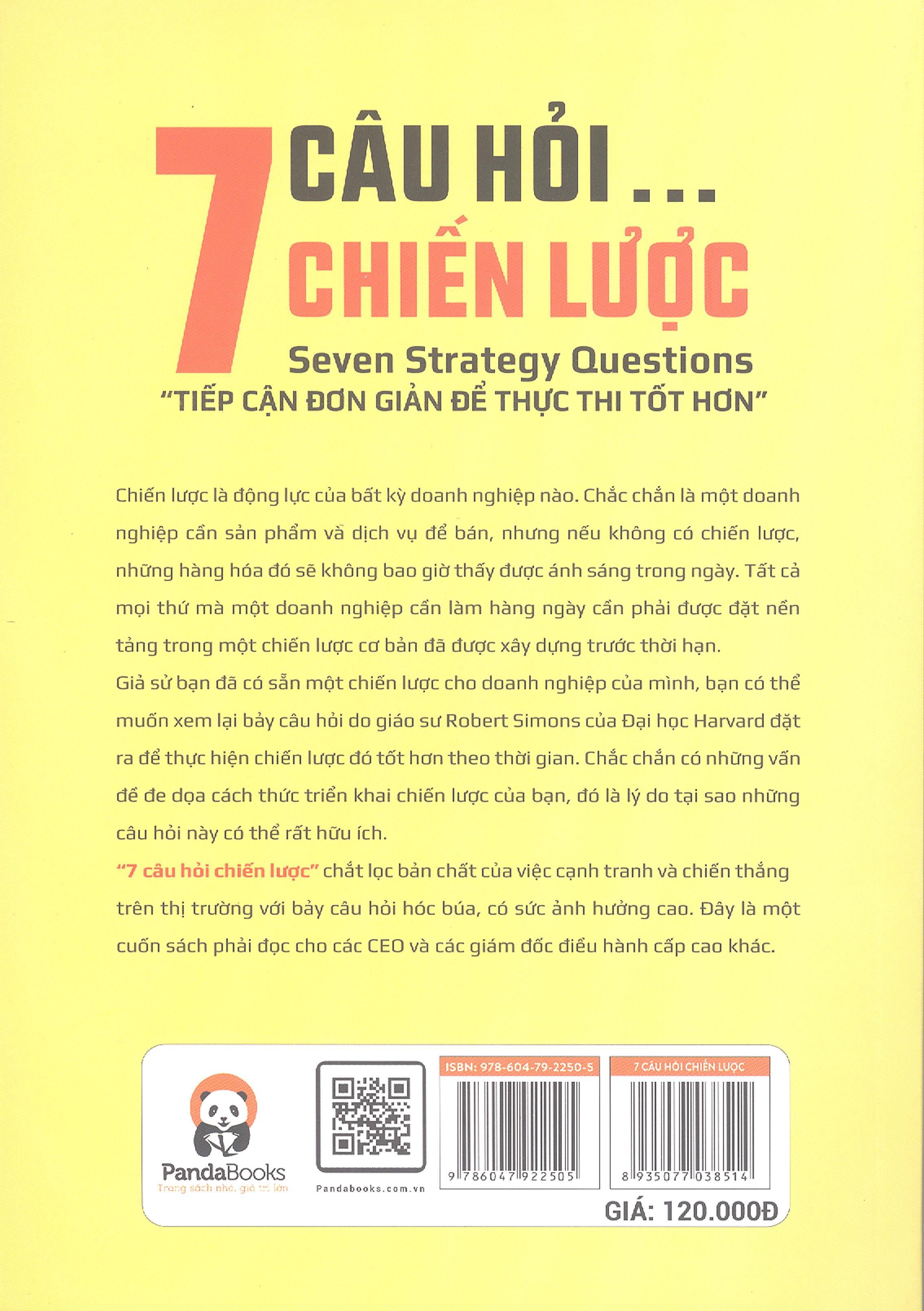 7 câu hỏi... chiến lược - seven strategy questions - Ảnh 8