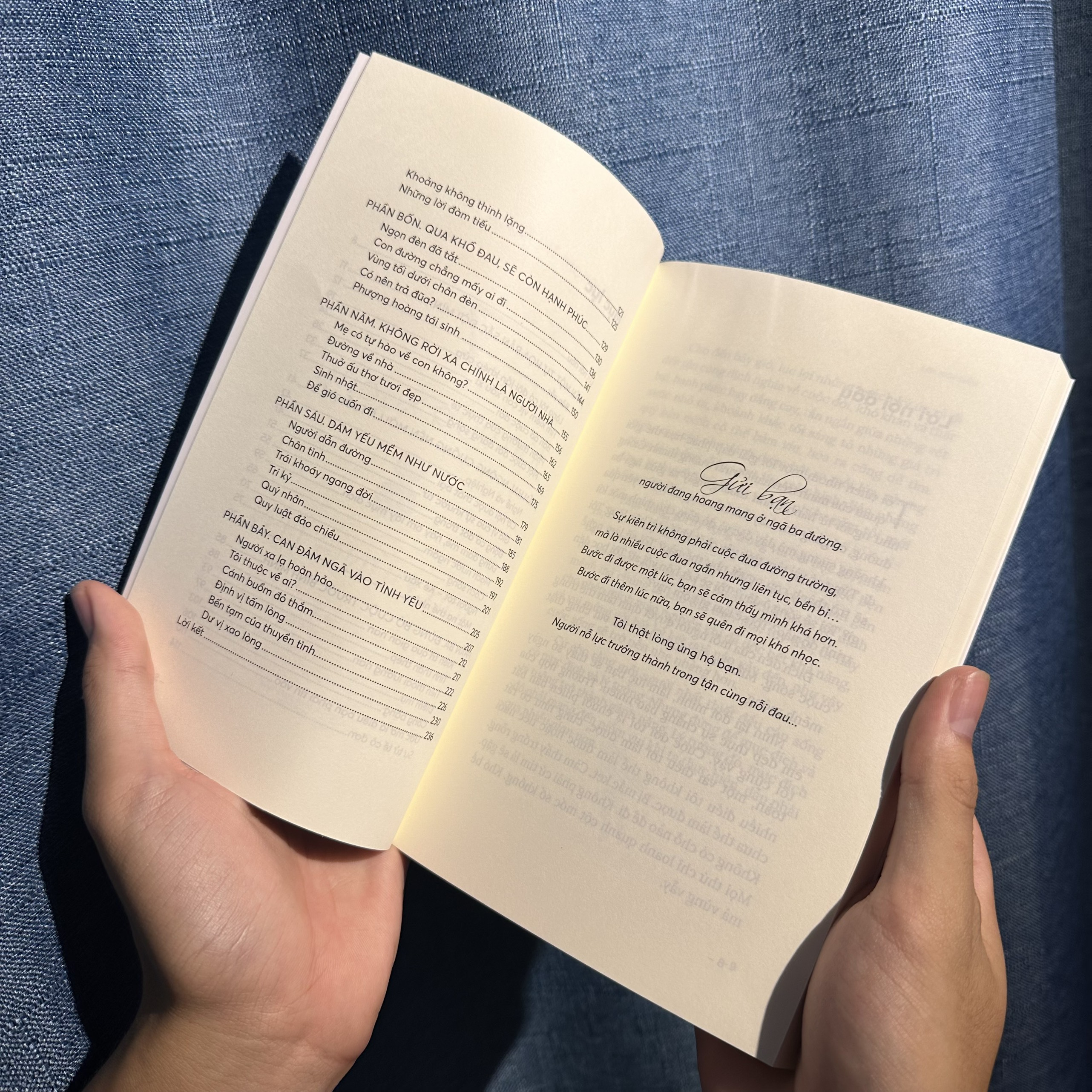 7 lần ngã xuống, 8 lần đứng lên - Ảnh 6