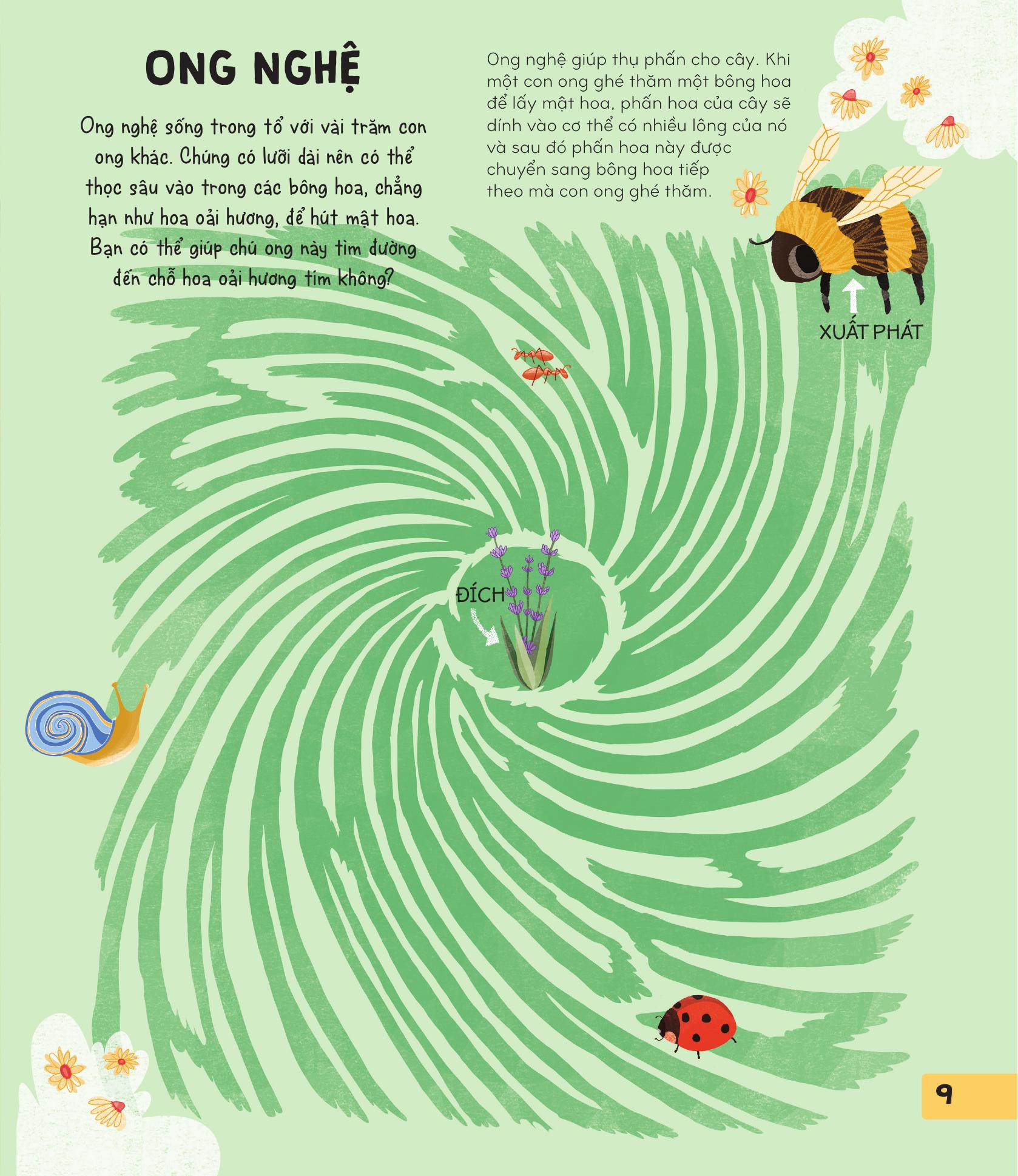 70++ trò chơi giúp em khám phá thế giới - mê cung - Ảnh 10