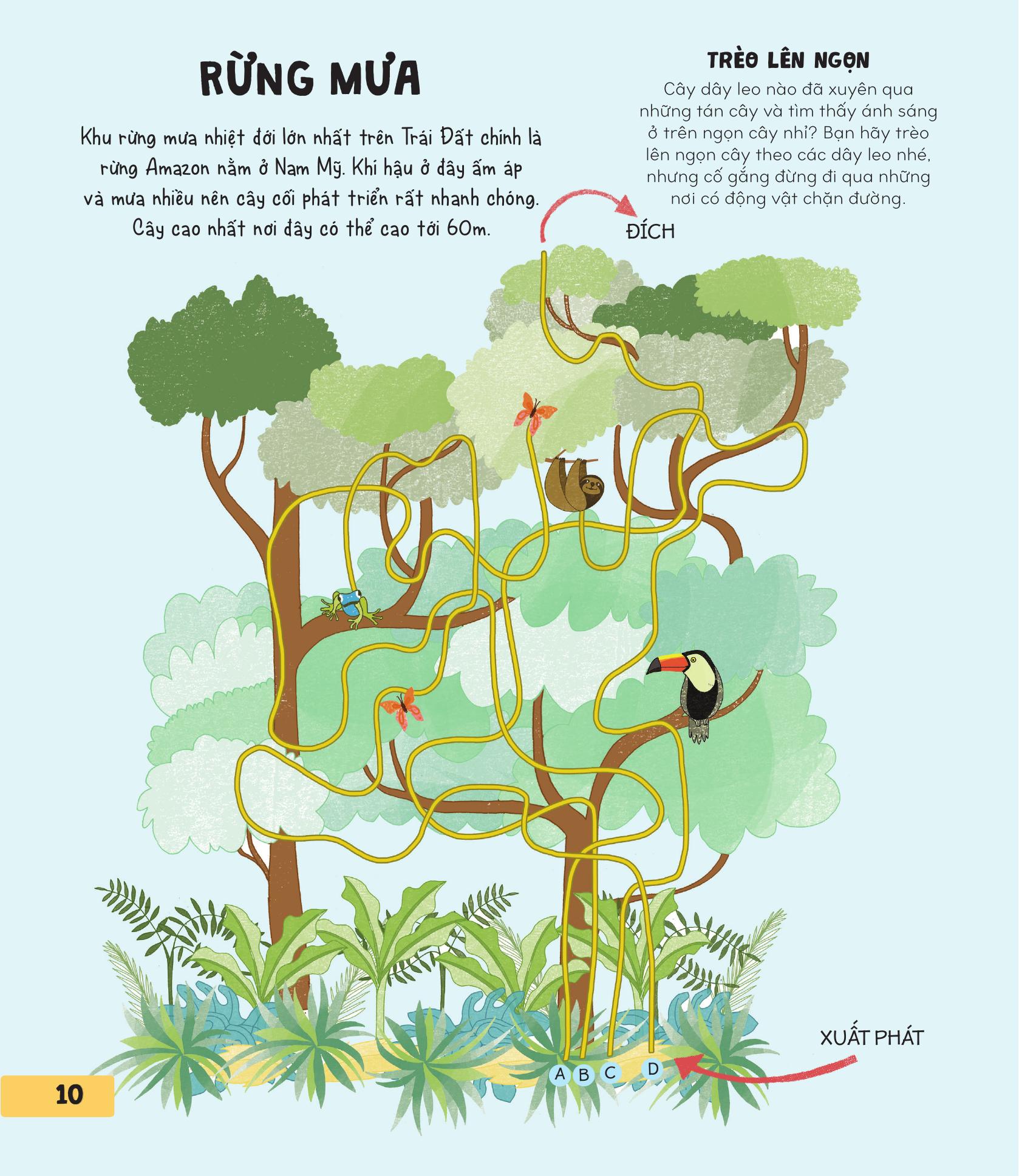 70++ trò chơi giúp em khám phá thế giới - mê cung - Ảnh 11