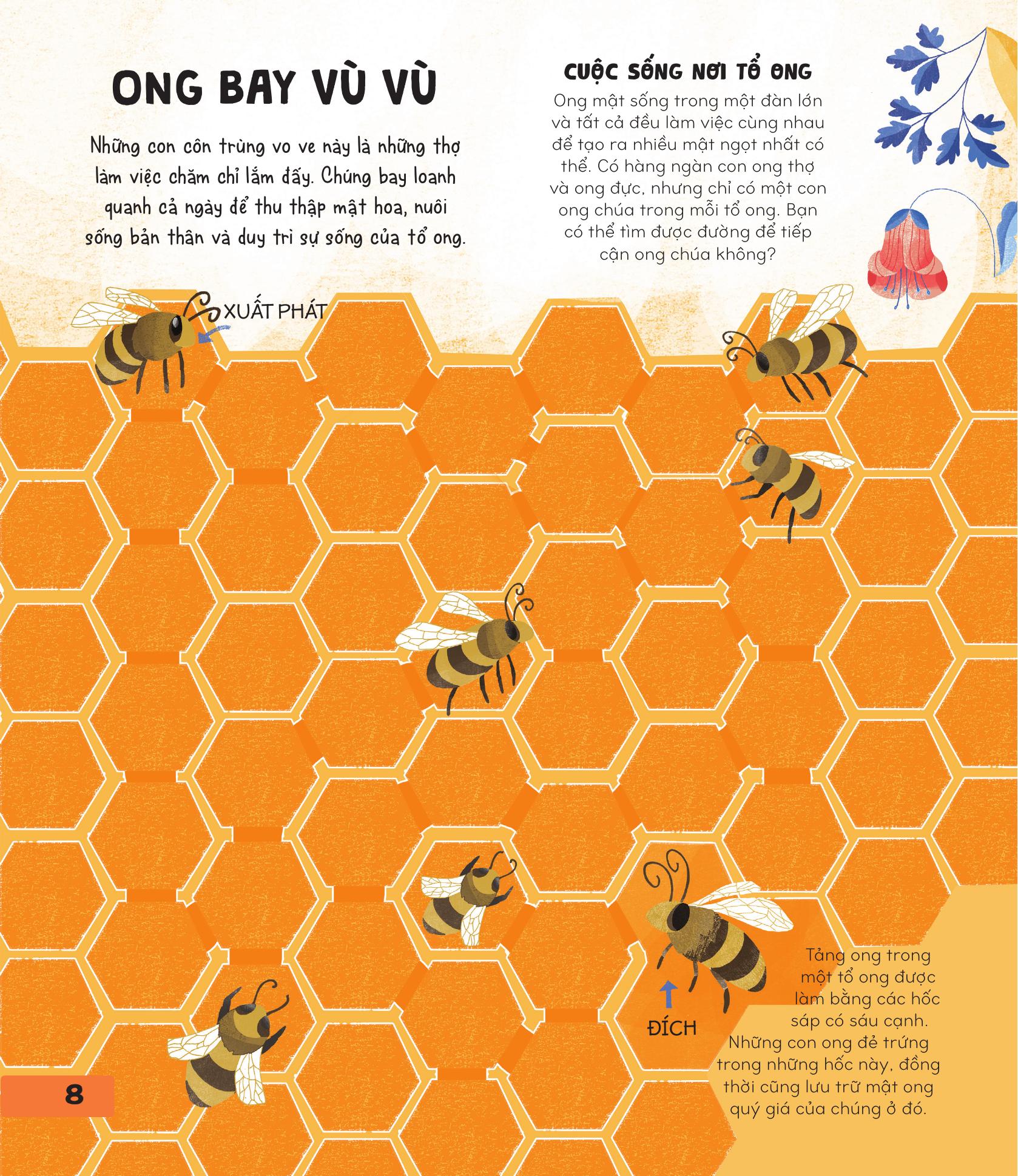 70++ trò chơi giúp em khám phá thế giới - mê cung - Ảnh 9