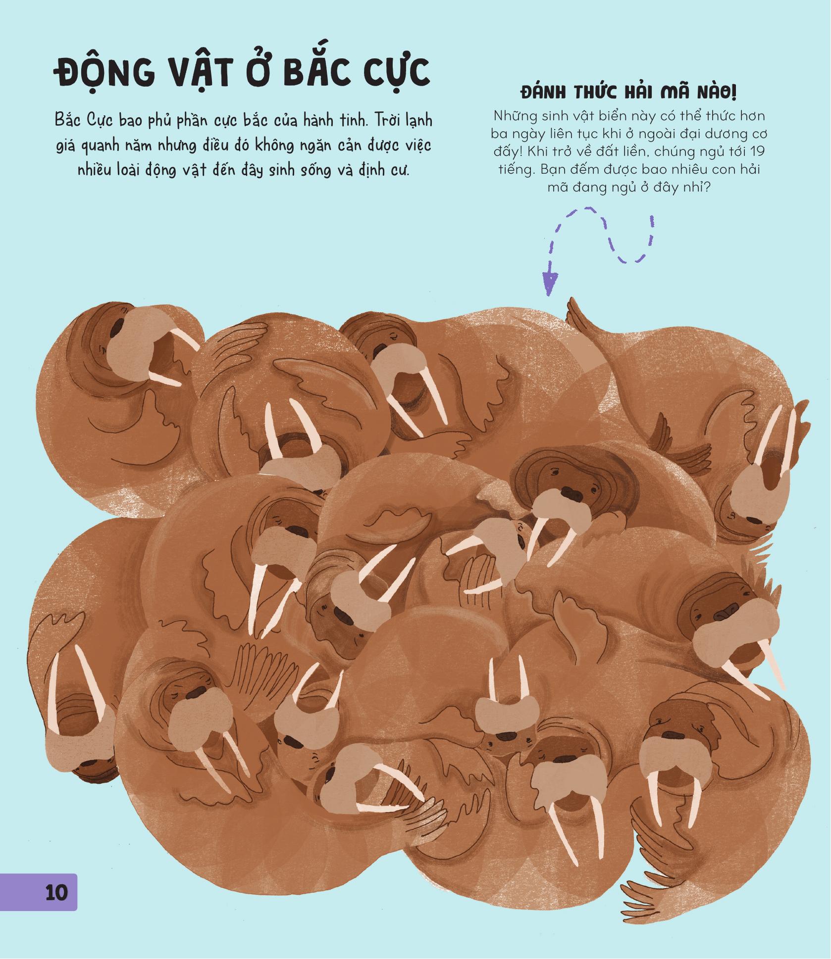 70++ trò chơi giúp em khám phá thế giới - thiên nhiên - Ảnh 10