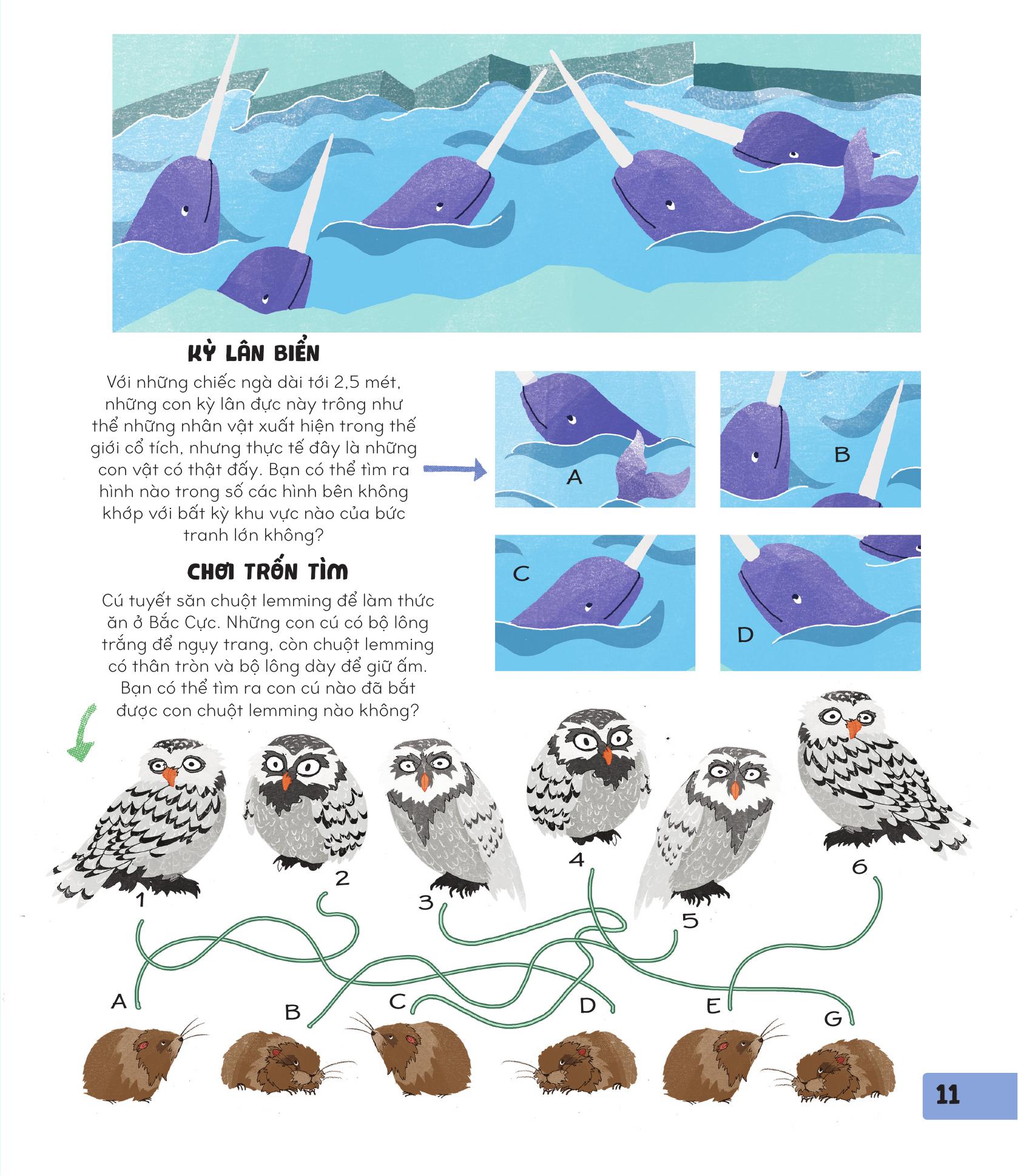 70++ trò chơi giúp em khám phá thế giới - thiên nhiên - Ảnh 11