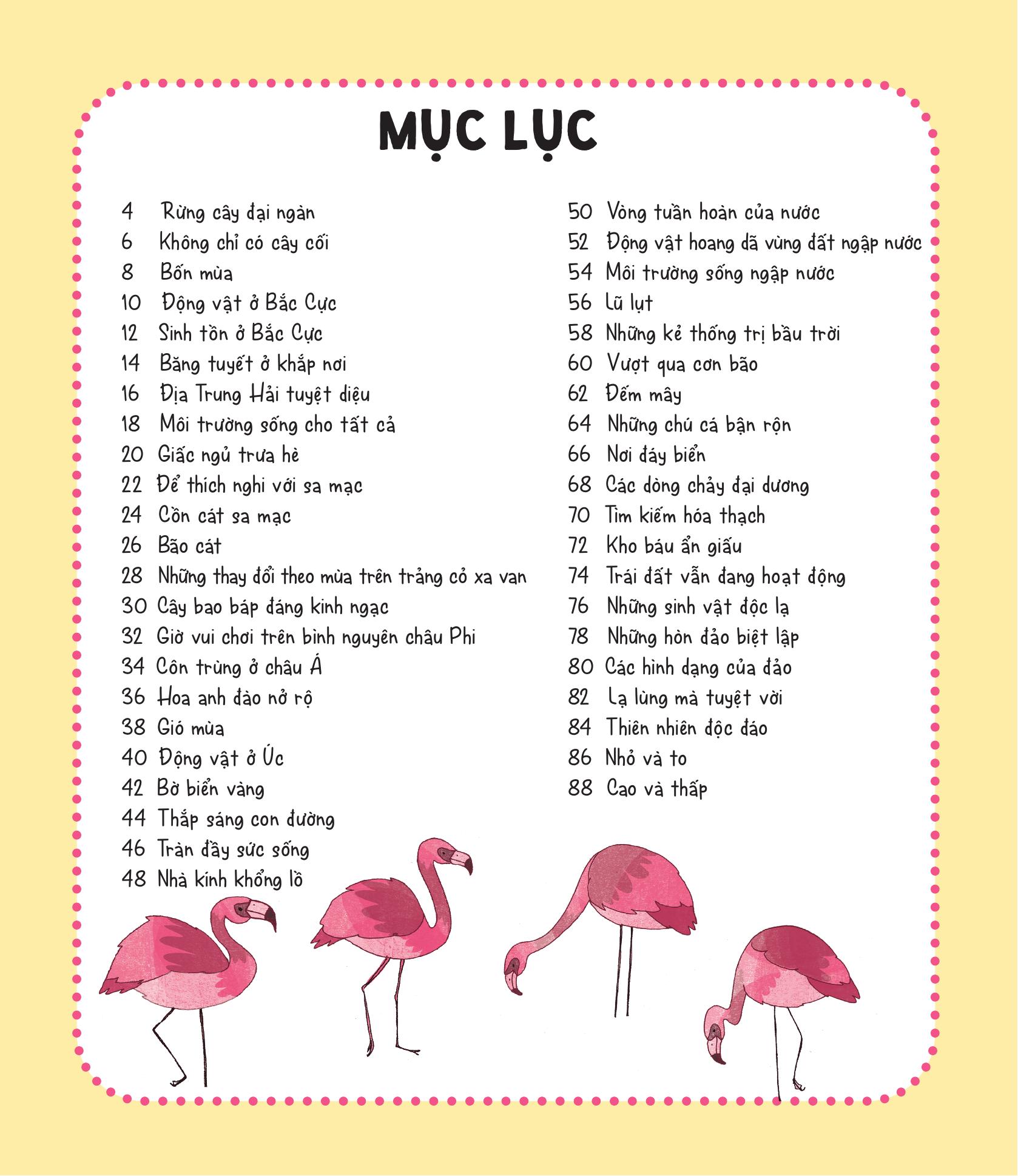 70++ trò chơi giúp em khám phá thế giới - thiên nhiên - Ảnh 3