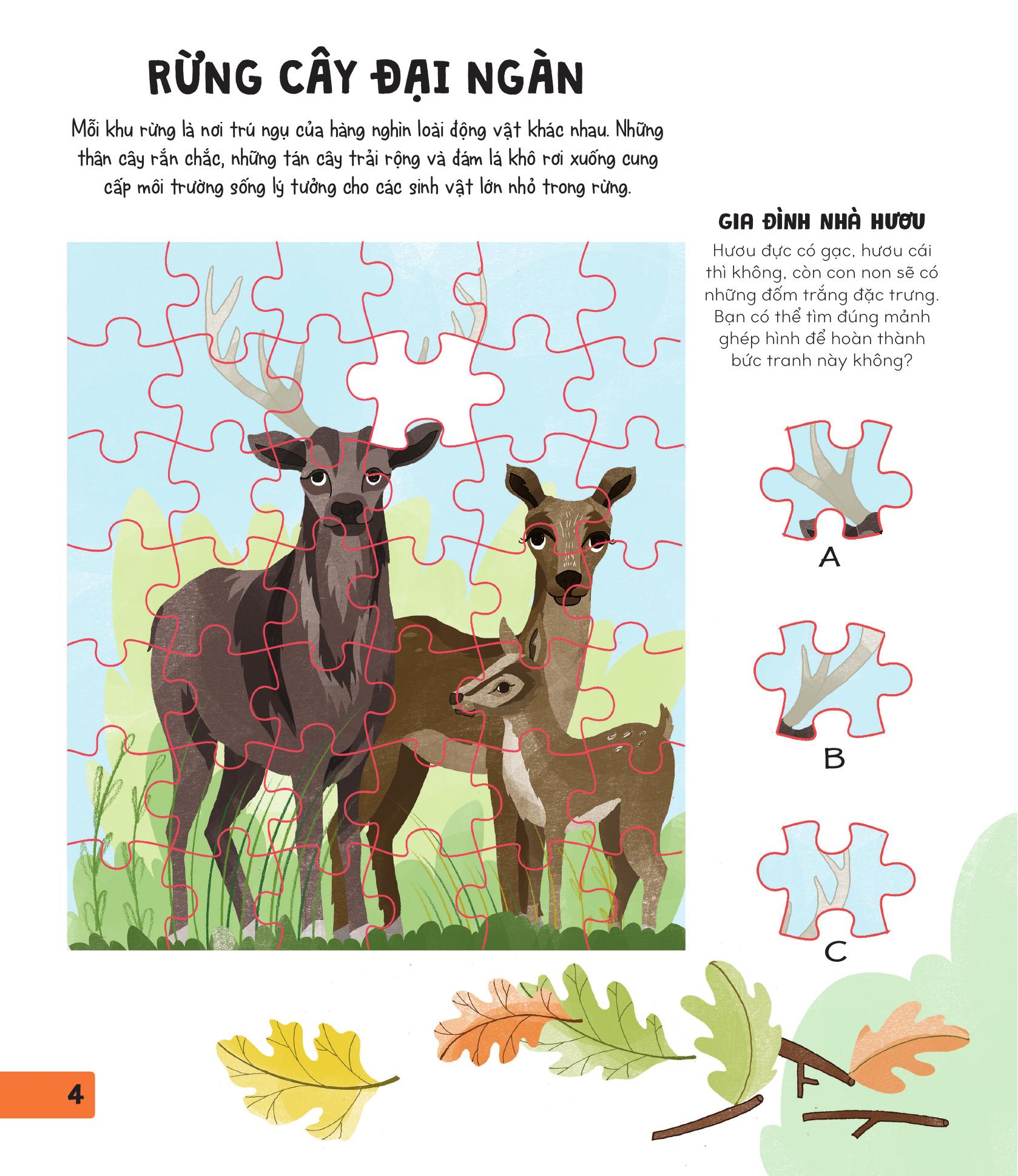 70++ trò chơi giúp em khám phá thế giới - thiên nhiên - Ảnh 4