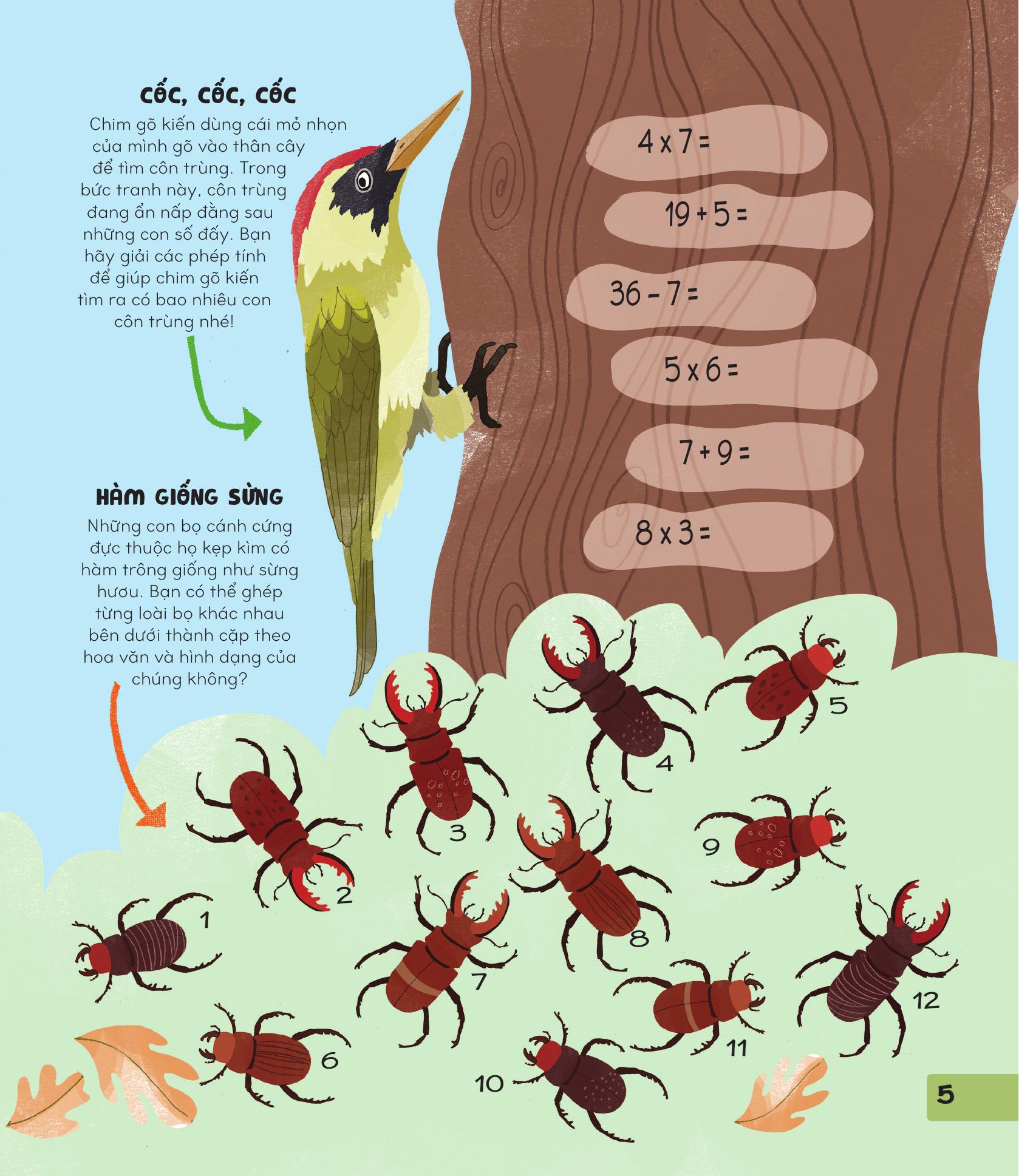 70++ trò chơi giúp em khám phá thế giới - thiên nhiên - Ảnh 5