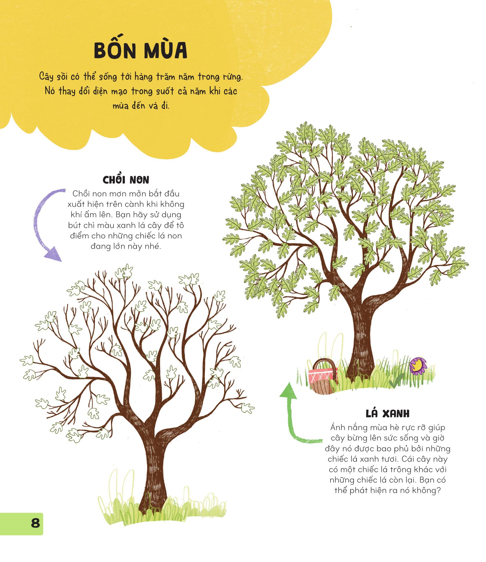 70++ trò chơi giúp em khám phá thế giới - thiên nhiên - Ảnh 8