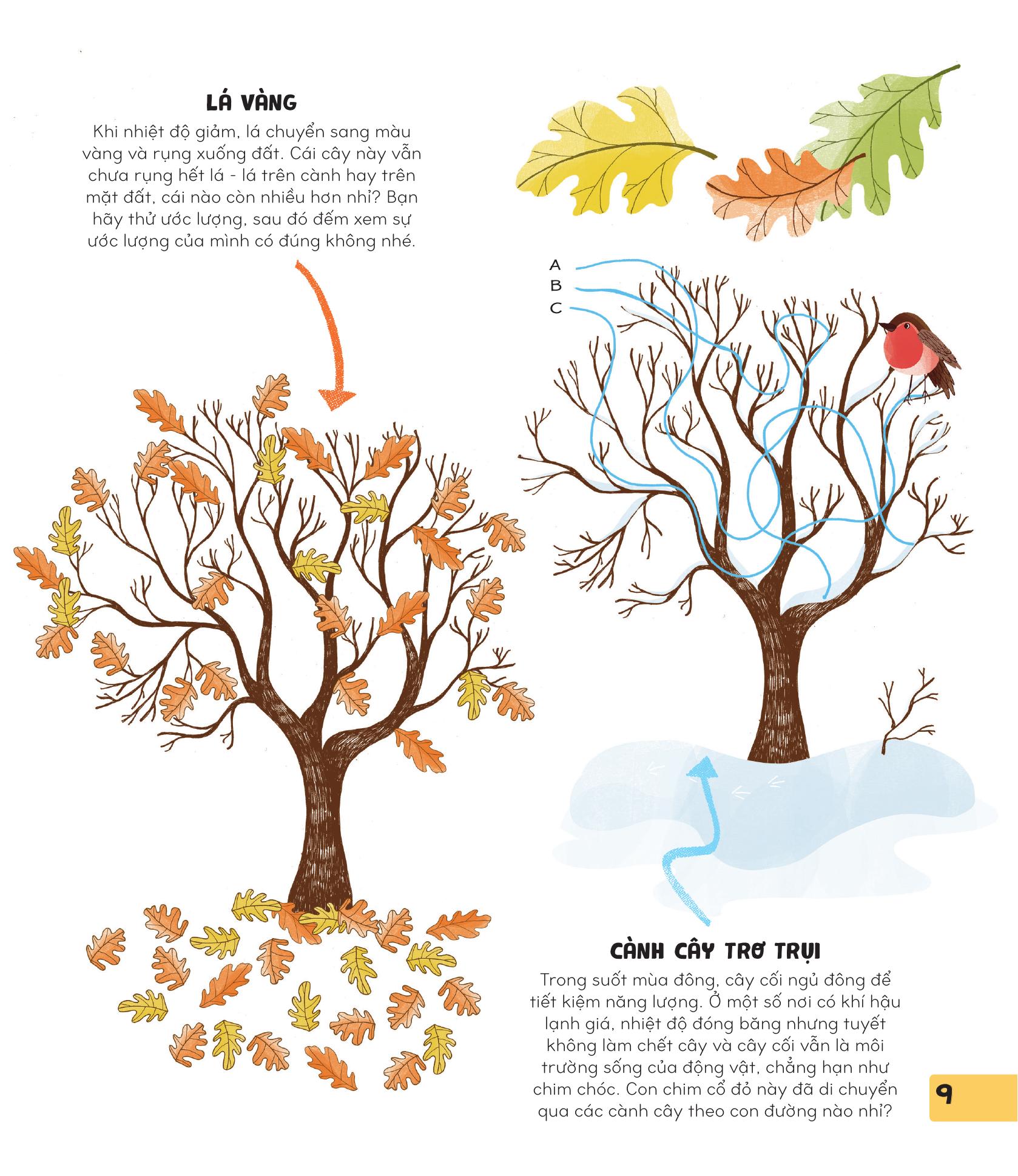 70++ trò chơi giúp em khám phá thế giới - thiên nhiên - Ảnh 9