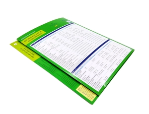 (8) english at a glance - giới thiệu khái quát về động từ tiếng anh - Ảnh 5