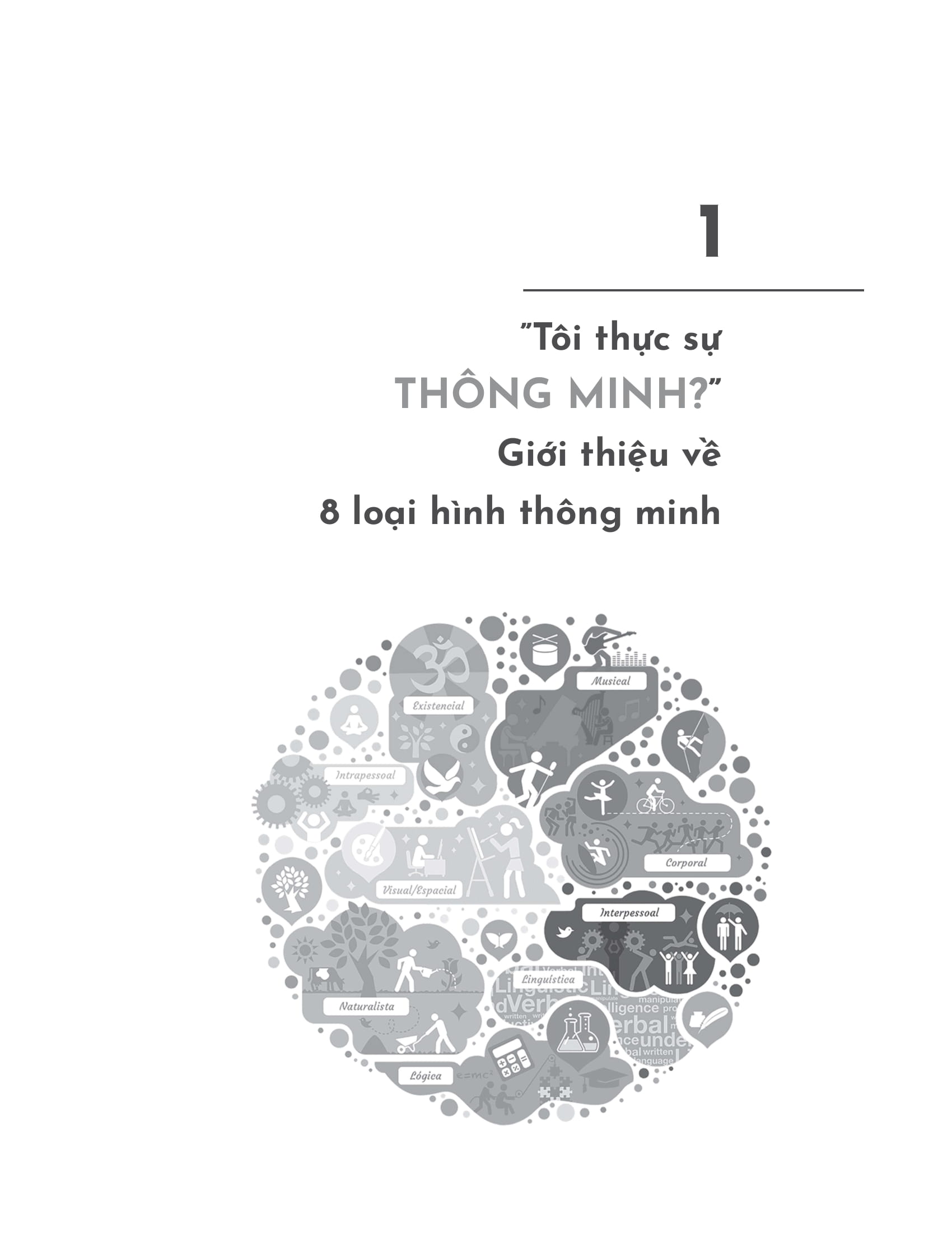 8 loại hình thông minh - Ảnh 14