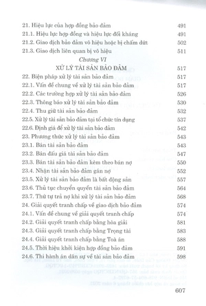 9 biện pháp bảo đảm nghĩa vụ hợp đồng (quy định, thực tế và thiết kế giao dịch theo bộ luật dân sự hiện hành) (tái bản lần thứ 3, có sữa chữa, bổ sung) - Ảnh 6
