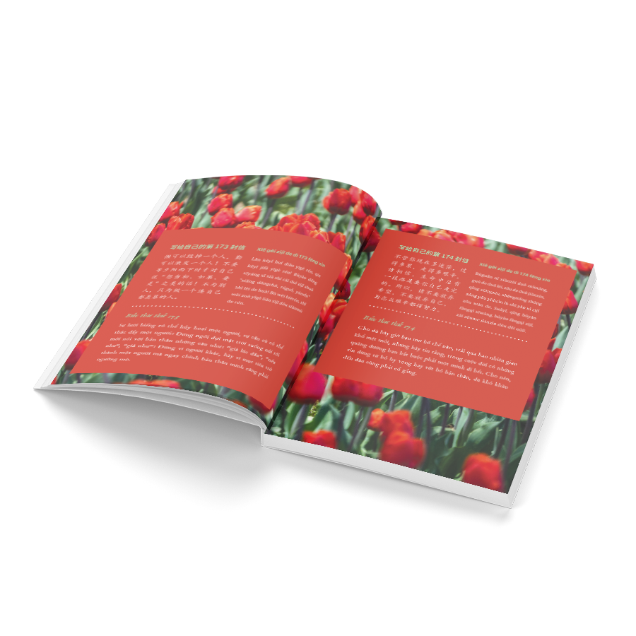 999 lá thư gửi cho chính mình - những lá thư ấn tượng nhất - tập 2 (phiên bản song ngữ trung-việt) (tái bản 2025) - Ảnh 6