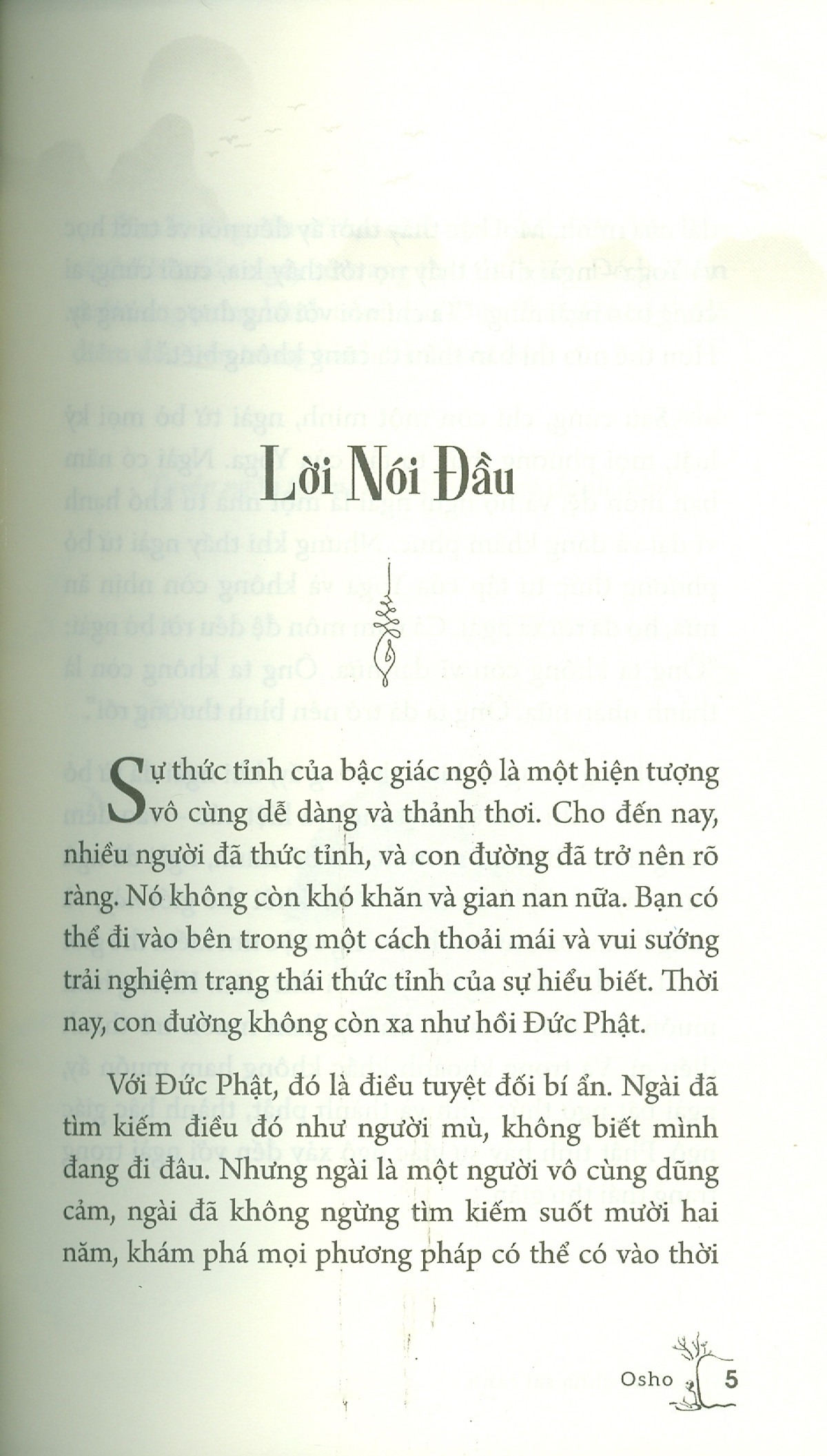 a bird on the wing - như chim sải cánh - Ảnh 5