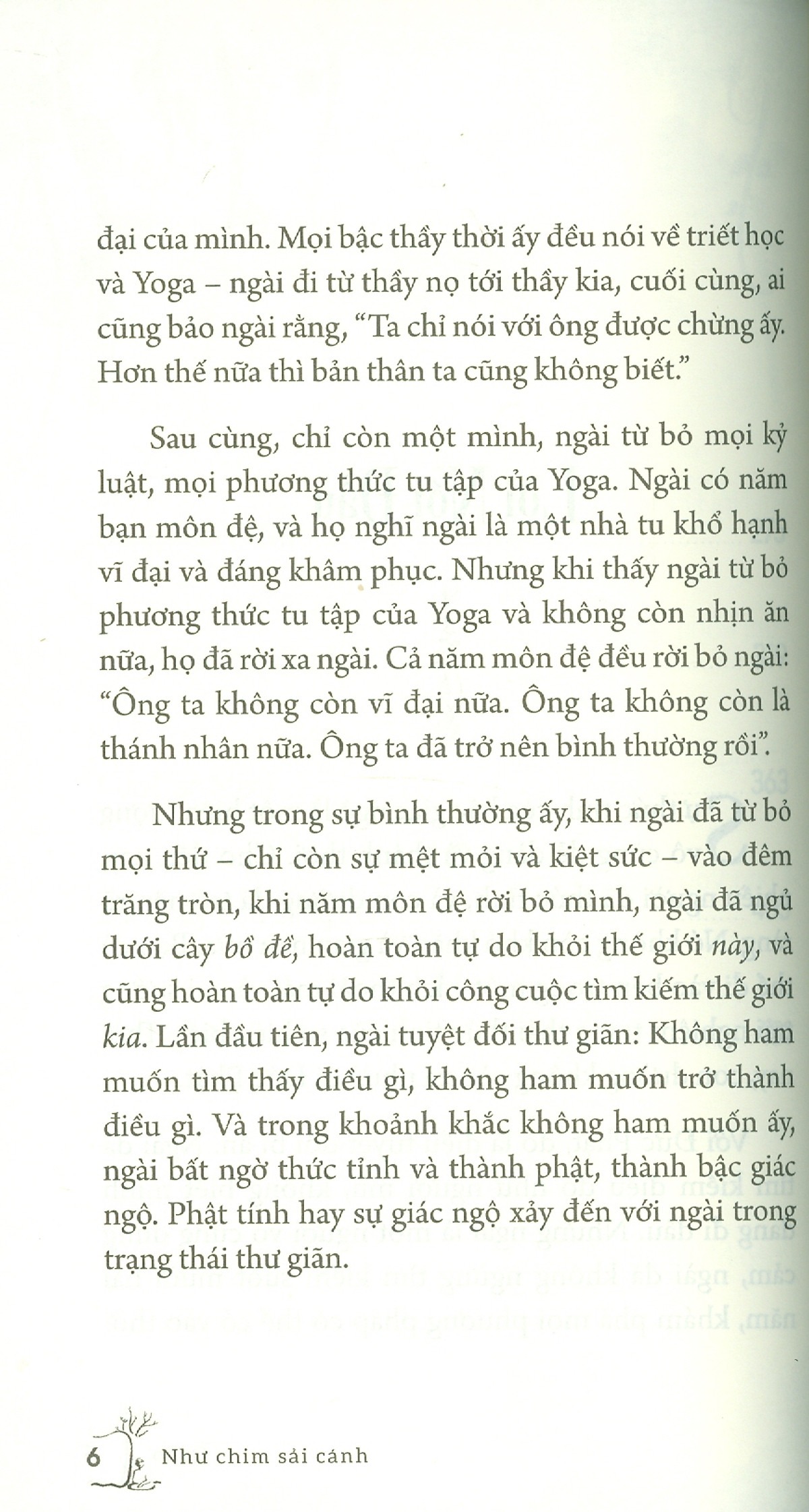 a bird on the wing - như chim sải cánh - Ảnh 6