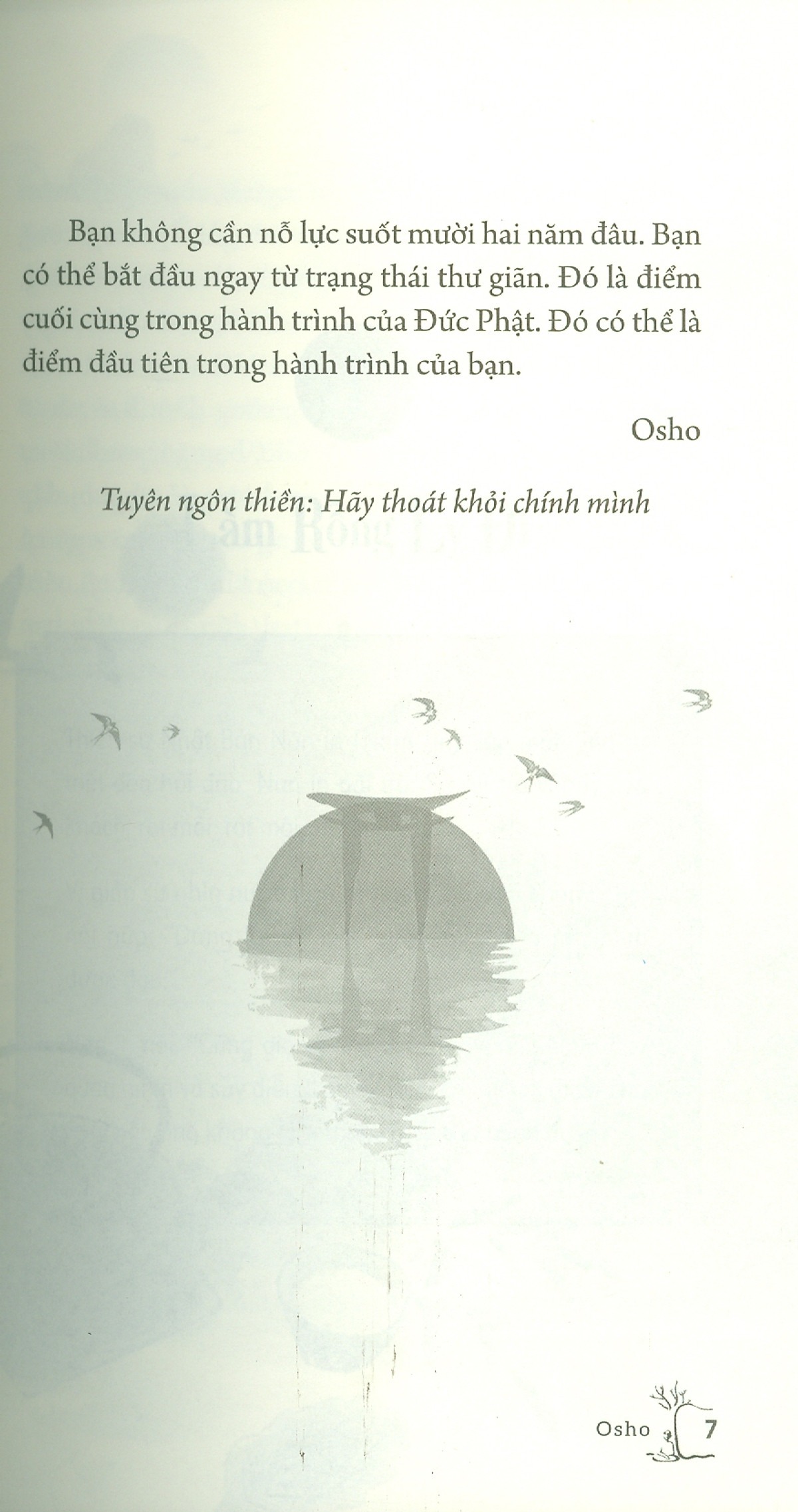 a bird on the wing - như chim sải cánh - Ảnh 7