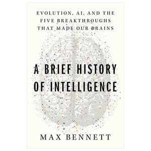 a brief history of intelligence