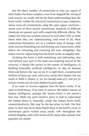 a brief history of intelligence - Ảnh 9