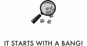 a brush with danger - Ảnh 4