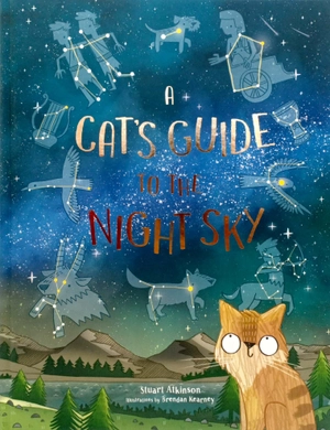 a cat's guide to the night sky - Ảnh 2