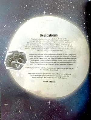 a cat's guide to the night sky - Ảnh 3