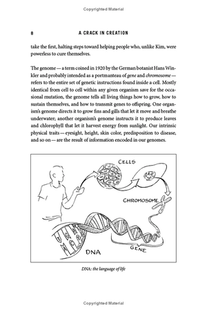 a crack in creation - Ảnh 10