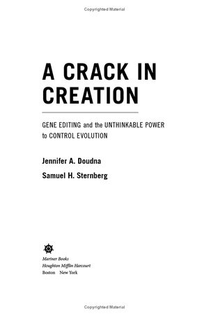 a crack in creation - Ảnh 3