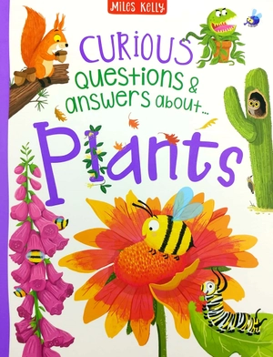 a curious library of questions and answers - Ảnh 5