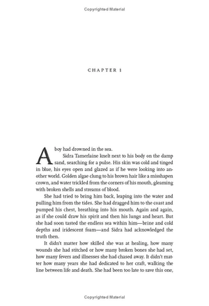 a fire endless (elements of cadence, book 2) - Ảnh 4