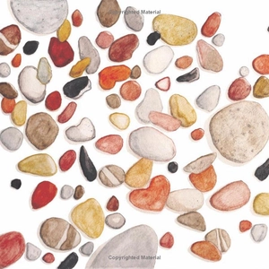 a handful of quiet: happiness in four pebbles - Ảnh 4