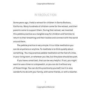 a handful of quiet: happiness in four pebbles - Ảnh 8