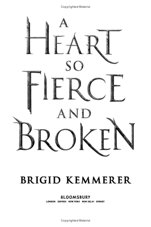 a heart so fierce and broken - Ảnh 3