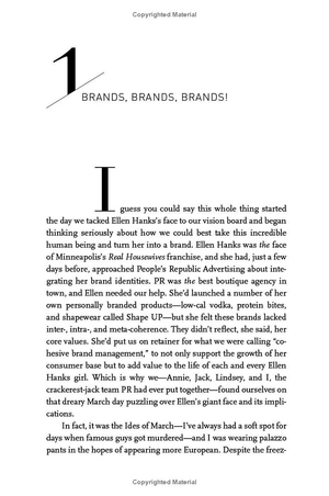 a lady's guide to selling out - Ảnh 5