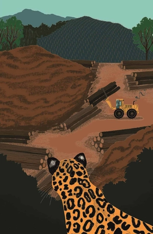 a ladybird book: climate change (hardcover) - Ảnh 6