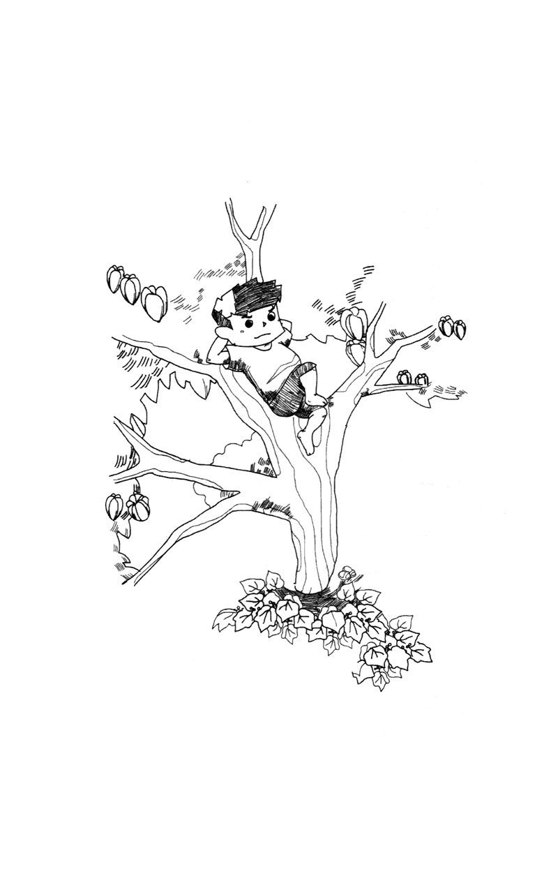 a lê hấp - ké xanh - Ảnh 8