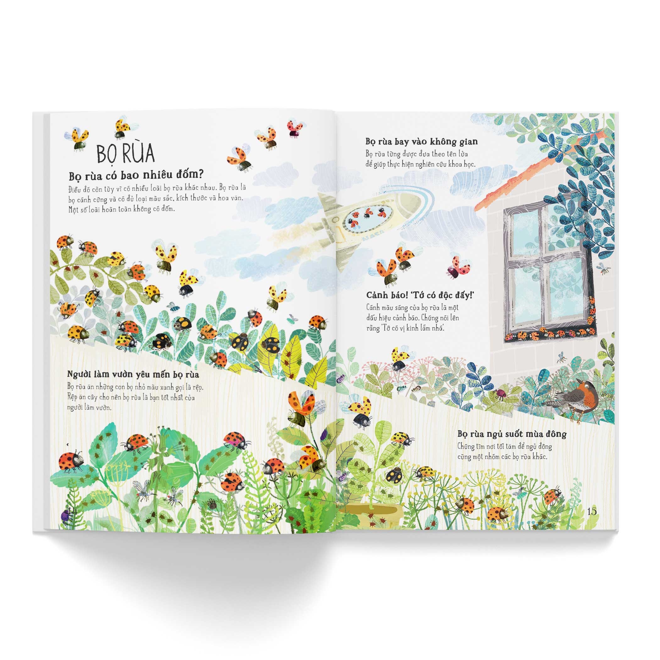 a lê hấp! thế giới bọ - Ảnh 4