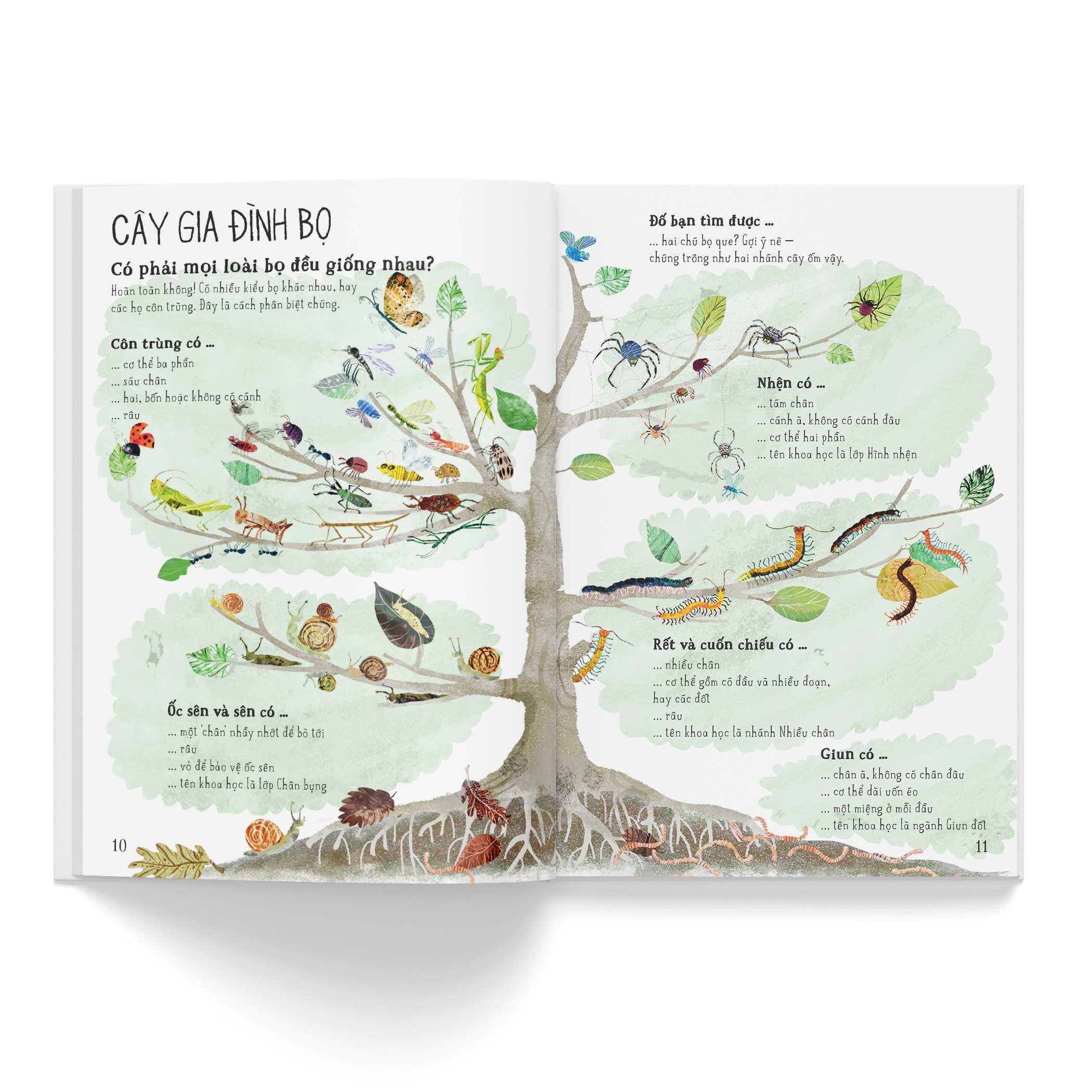 a lê hấp! thế giới bọ - Ảnh 5