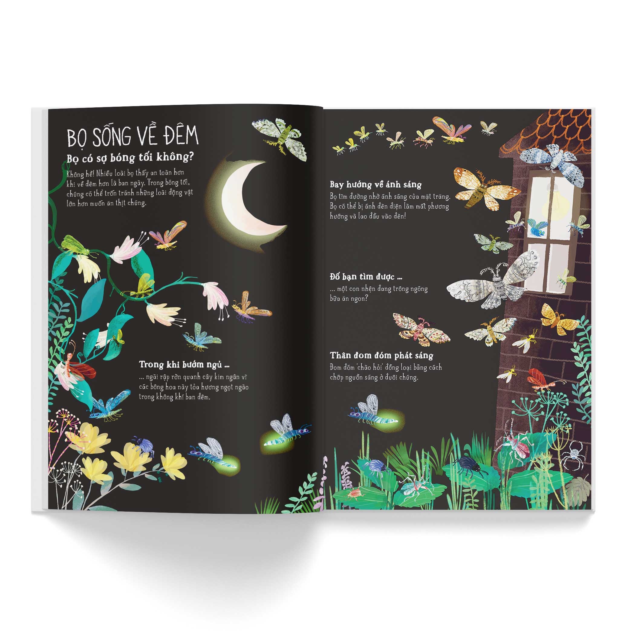 a lê hấp! thế giới bọ - Ảnh 6