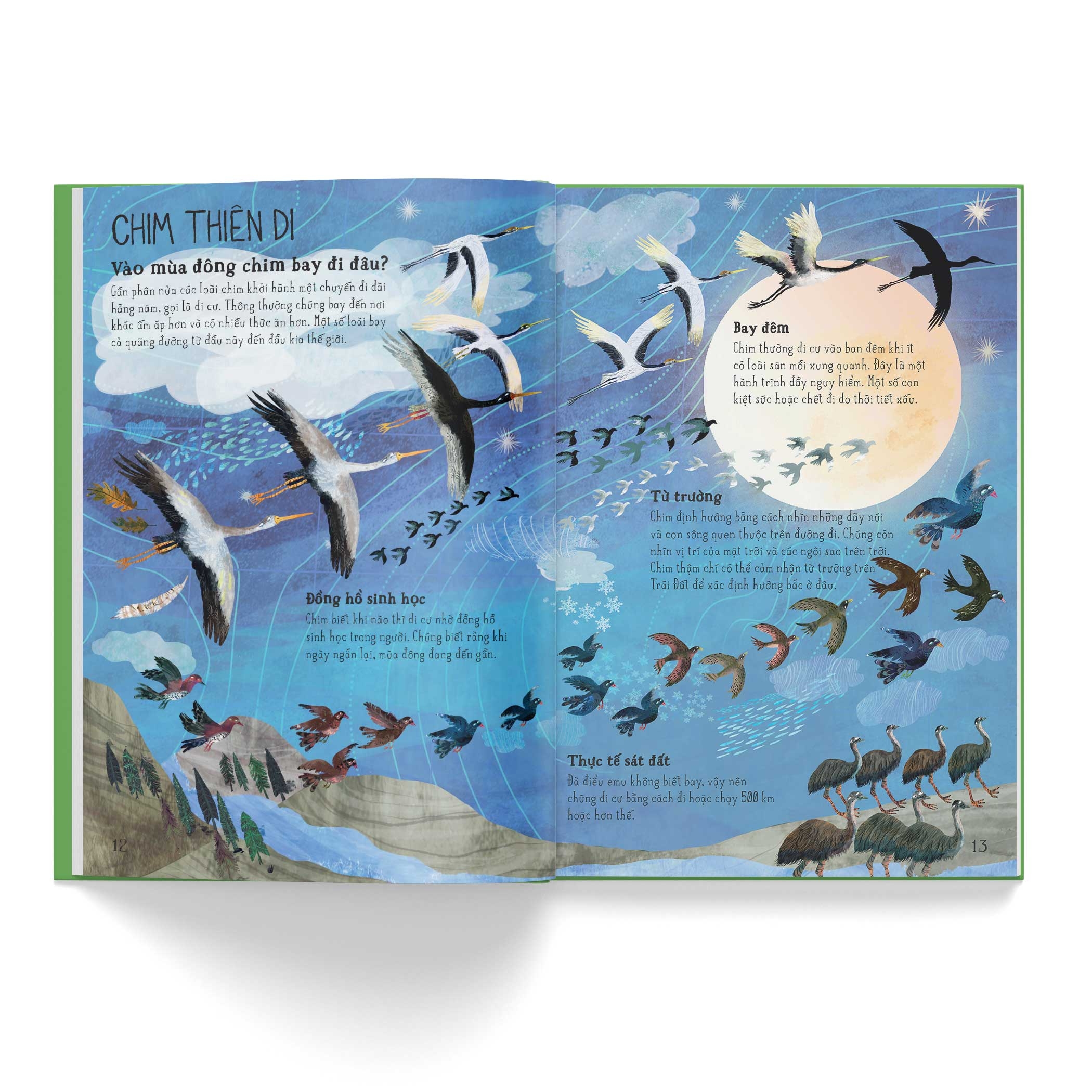 a lê hấp! thế giới chim - Ảnh 4